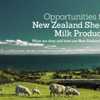 Identifying Opportunities for New Zealand’s Sheep and Goat Milk Sectors